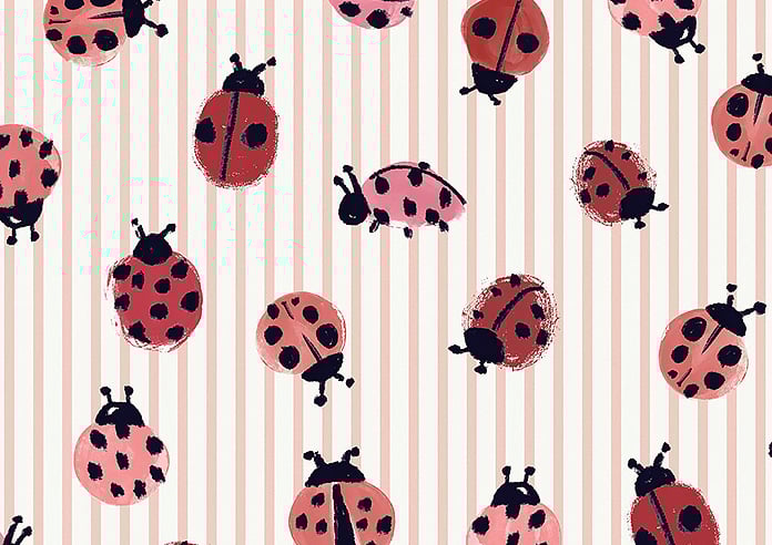 Wee Blue Bell Little Ladybirds, Poppy - Roman Blind - Image 7